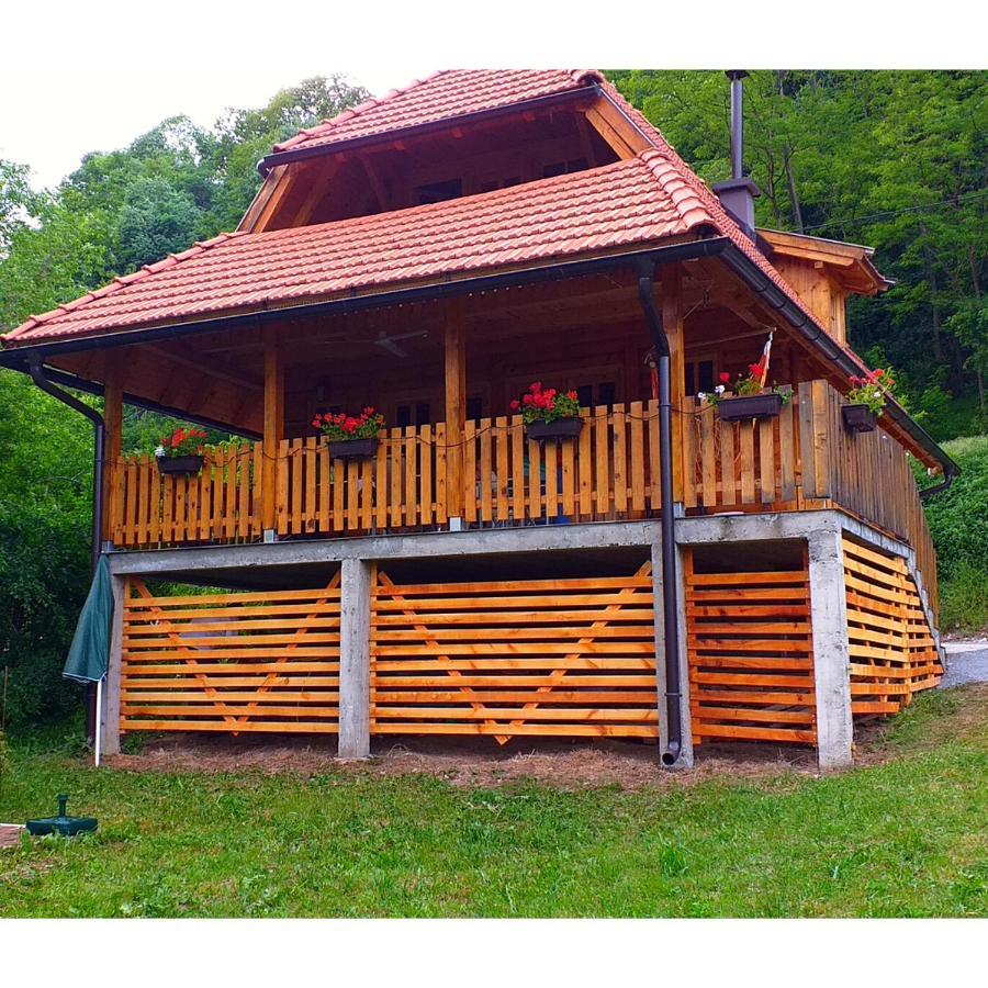 Drinska Tisina Villa Ljubovija Buitenkant foto