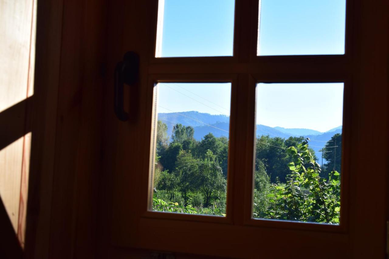 Drinska Tisina Villa Ljubovija Buitenkant foto